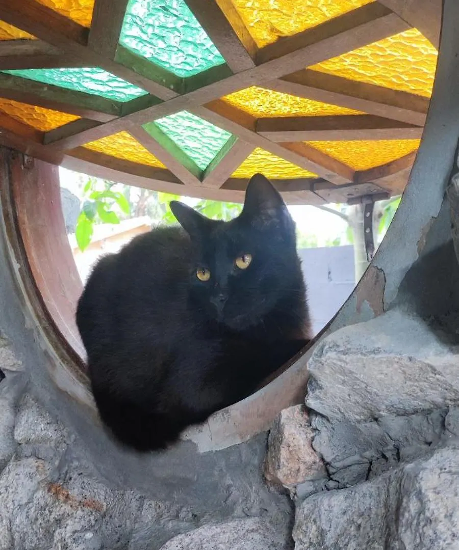 Nyaraló Cabana Das Bruxas Palhoça
